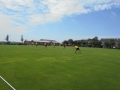 DSC01225 (Kopie)